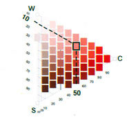 Цветовой треугольник NCS