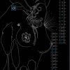 Фрагмент проекта Ксении Леонтьевой «Decisions in design»