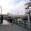 Лондон, 13-19 февраля 2011