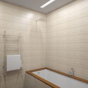 Проект двухкомнатной квартиры в Москве 57 кв. м.  Ванная комната и туалет