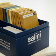 Практические занятия для студентов IDS в пространстве бренда Salini